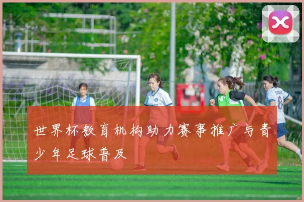 世界杯教育机构助力赛事推广与青少年足球普及