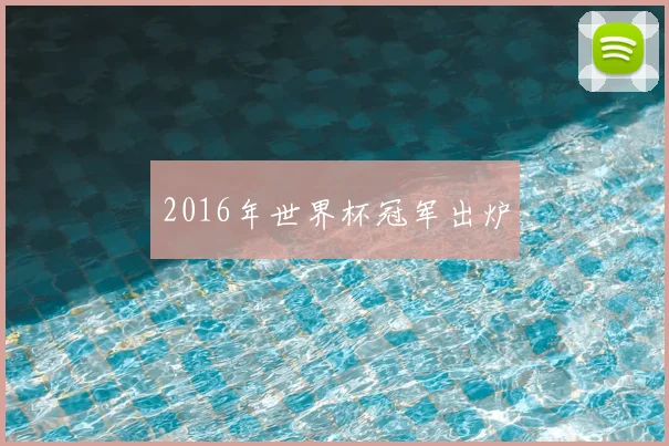 2016年世界杯冠军出炉