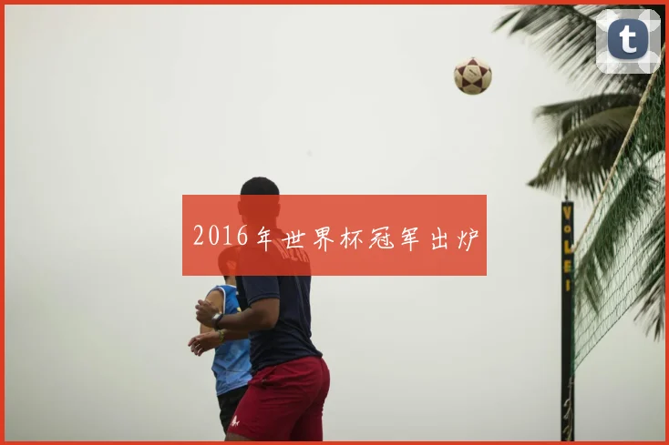 2016年世界杯冠军出炉