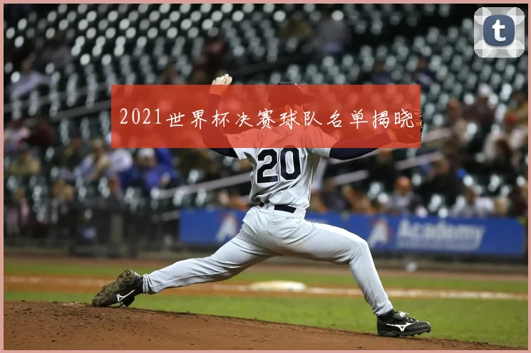 2021世界杯决赛球队名单揭晓