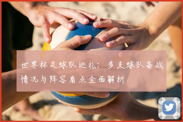 世界杯足球队巡礼:多支球队备战情况与阵容看点全面解析