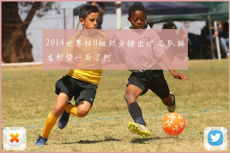2014世界杯H组积分榜出炉 各队排名形势一目了然