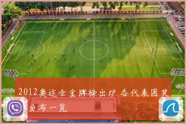 2012奥运会金牌榜出炉 各代表团奖牌分布一览