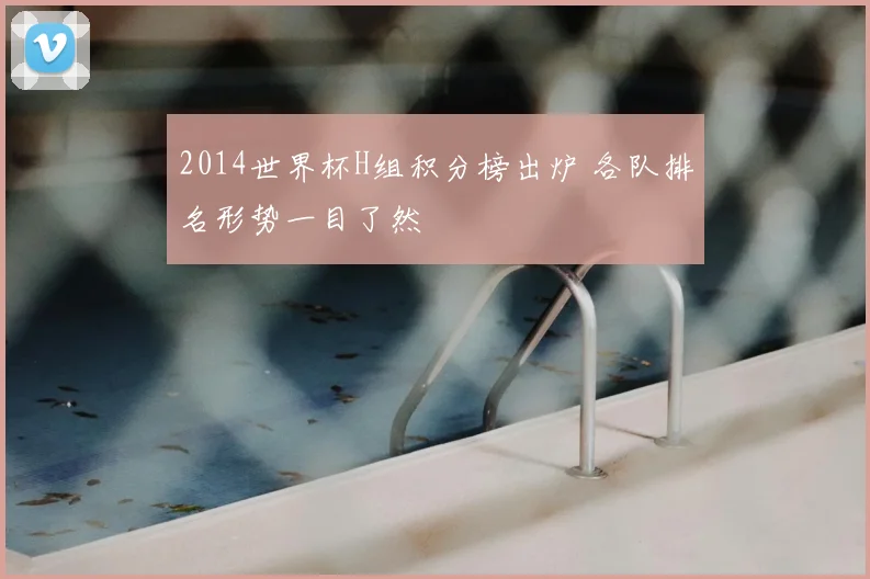 2014世界杯H组积分榜出炉 各队排名形势一目了然