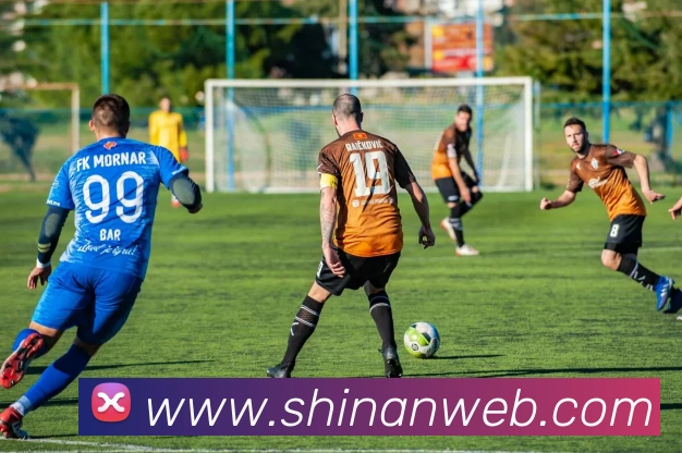 企业概况